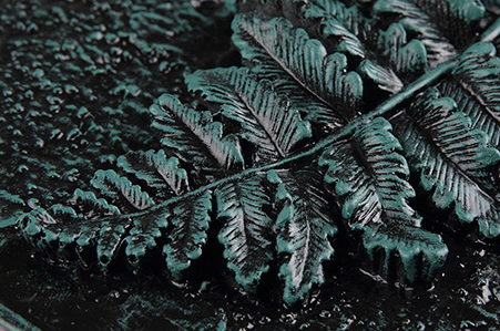 Зелень